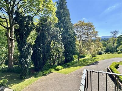 Open Plan Lounge/Dining Area